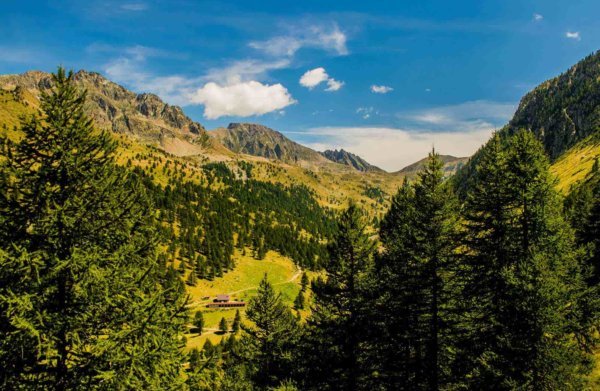 week end yoga grandeur nature en juillet