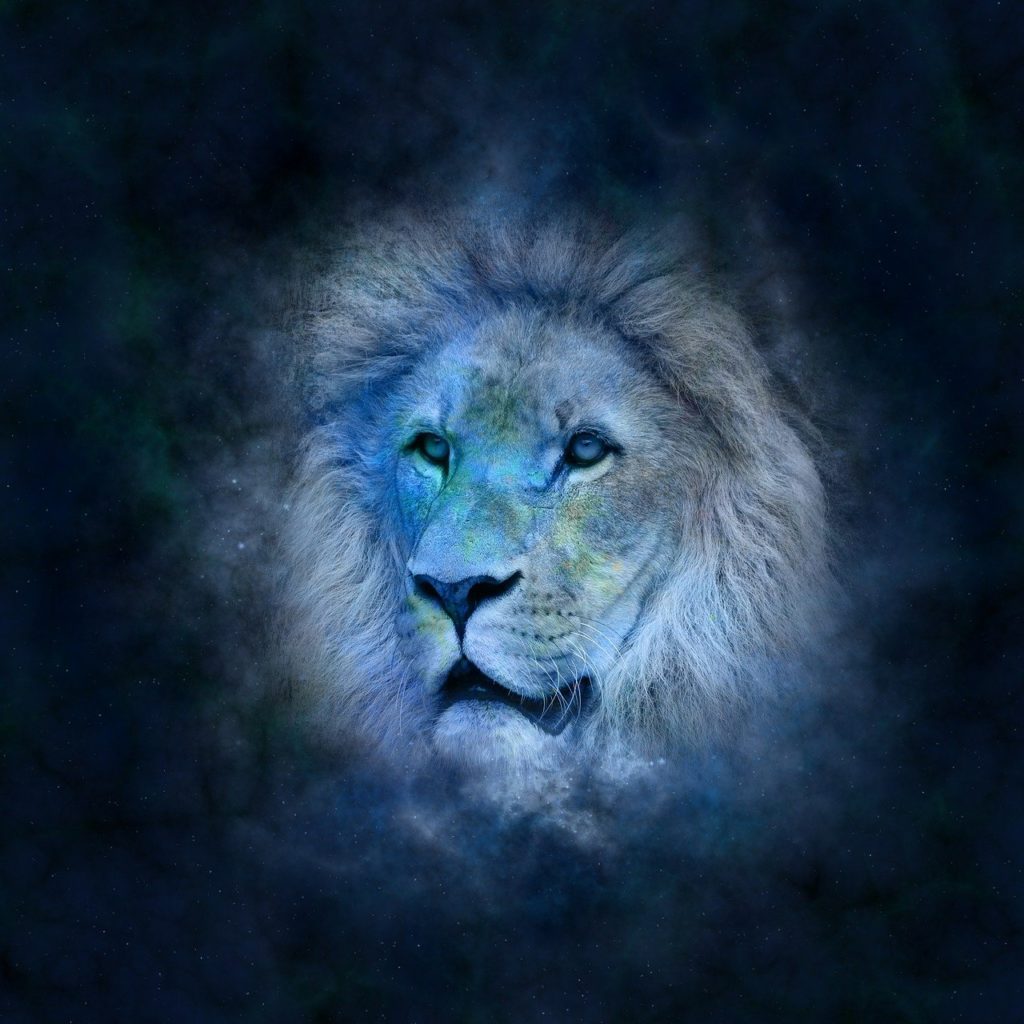 signe solaire lunaire et ascendant lion 